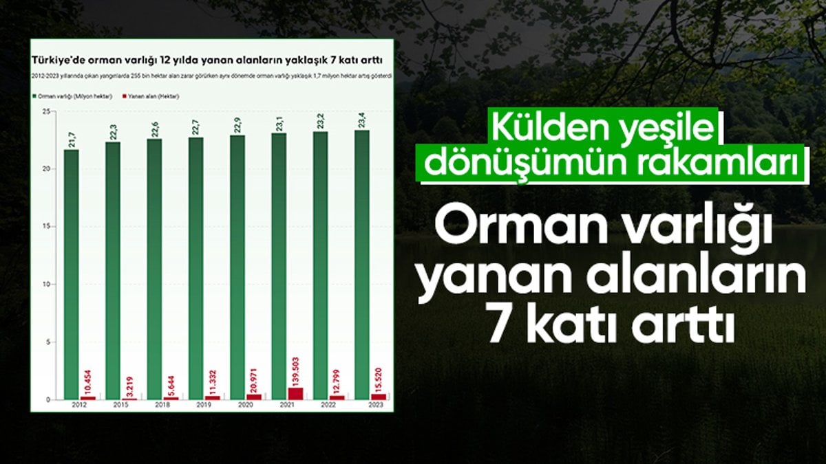 Orman varlığı yanan alanların yaklaşık 7 katı arttı