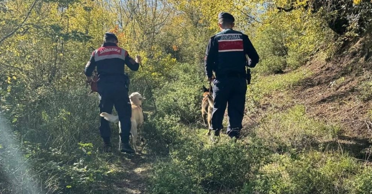 10 gündür kayıptı! Acı haber geldi